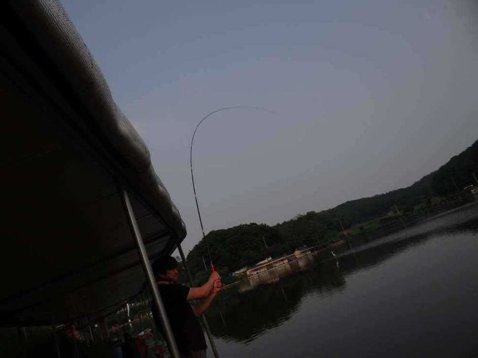 fish_pay_05461736.jpg