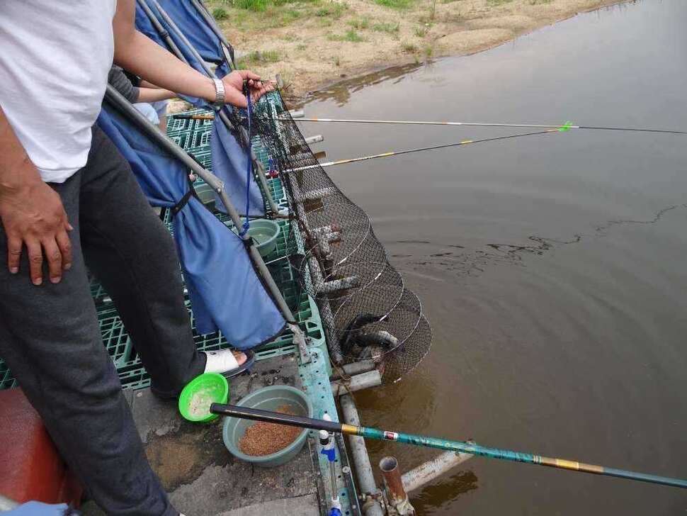 fish_pay_0547299.jpg