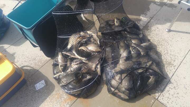 fish_pay_0554212.jpg
