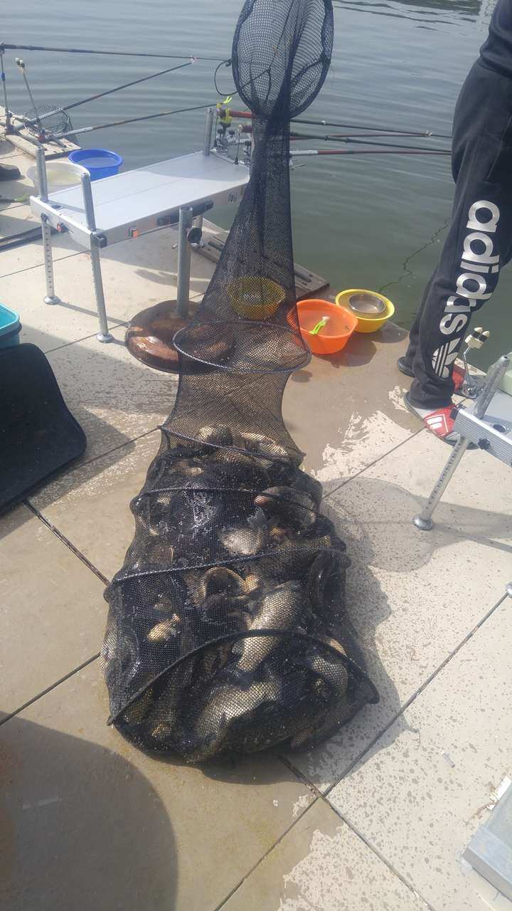 fish_pay_05545335.jpg