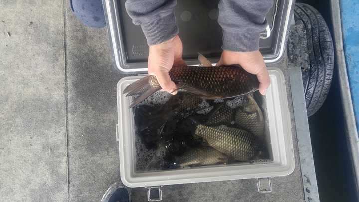 fish_pay_05550392.jpg