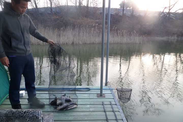 fish_pay_05553139.jpg