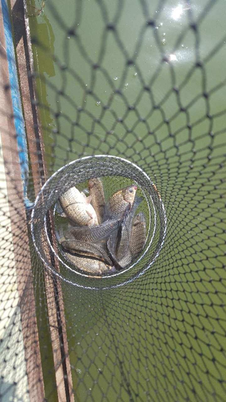 fish_pay_05555433.jpg