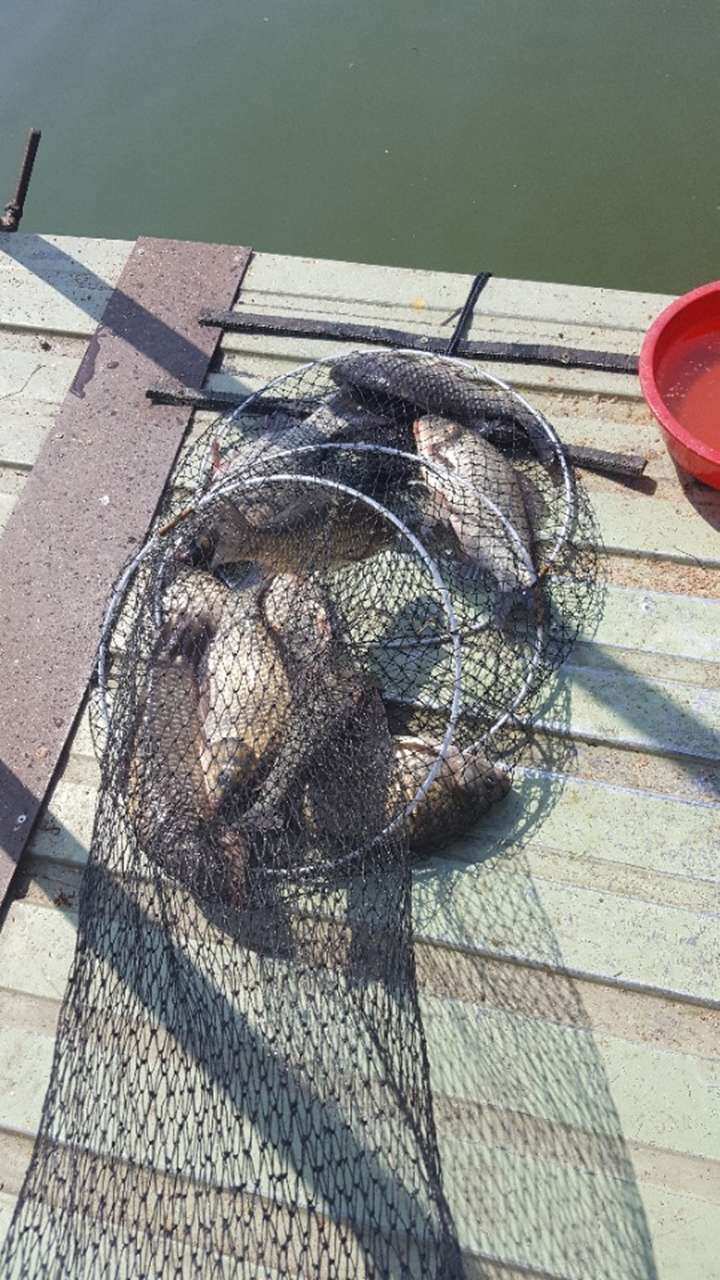 fish_pay_05555991.jpg