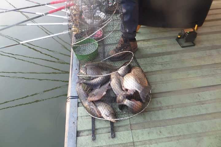 fish_pay_05561125.jpg