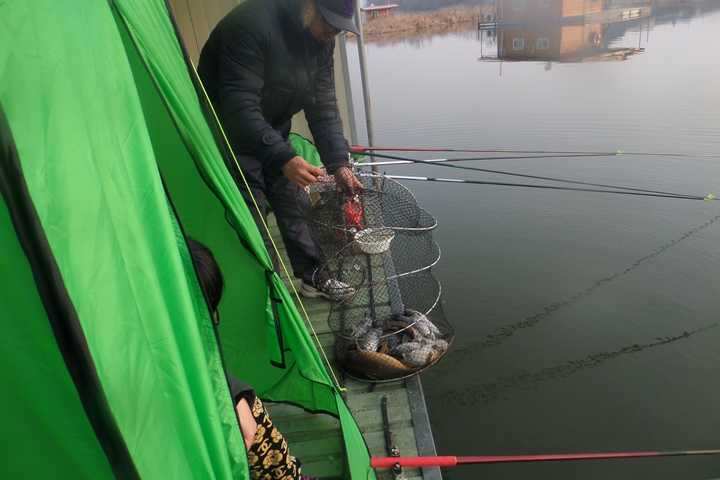 fish_pay_0556304.jpg