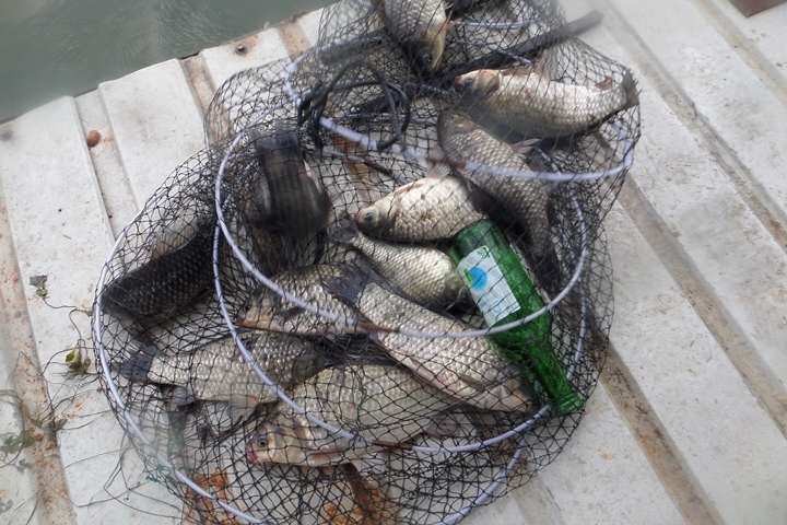 fish_pay_05563569.jpg