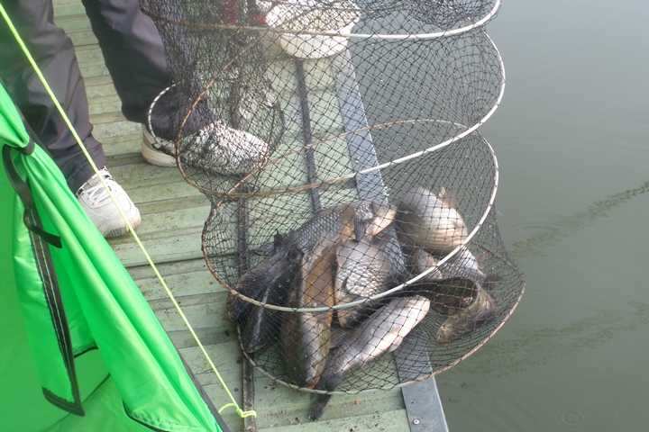 fish_pay_05563587.jpg
