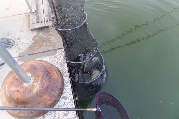 fish_pay_05564799.jpg