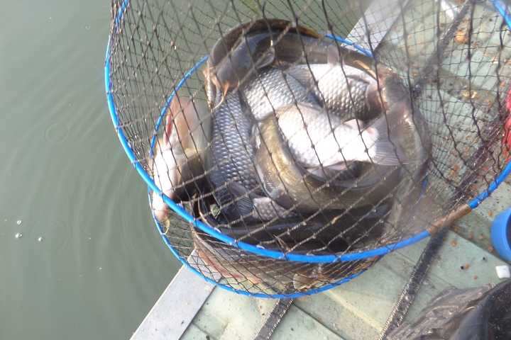fish_pay_05564829.jpg
