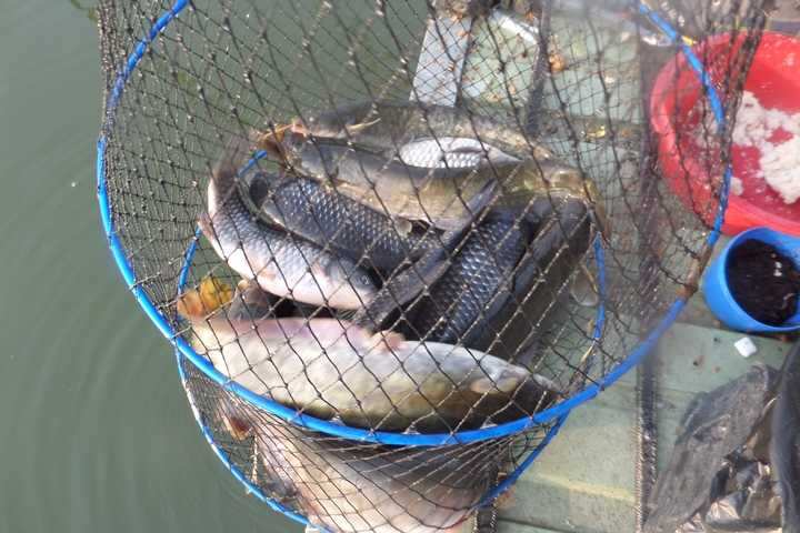 fish_pay_05565379.jpg