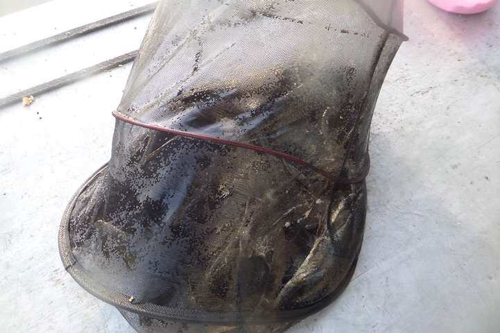 fish_pay_05570384.jpg