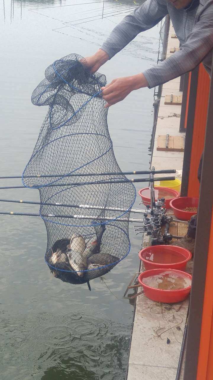 fish_pay_05593537.jpg