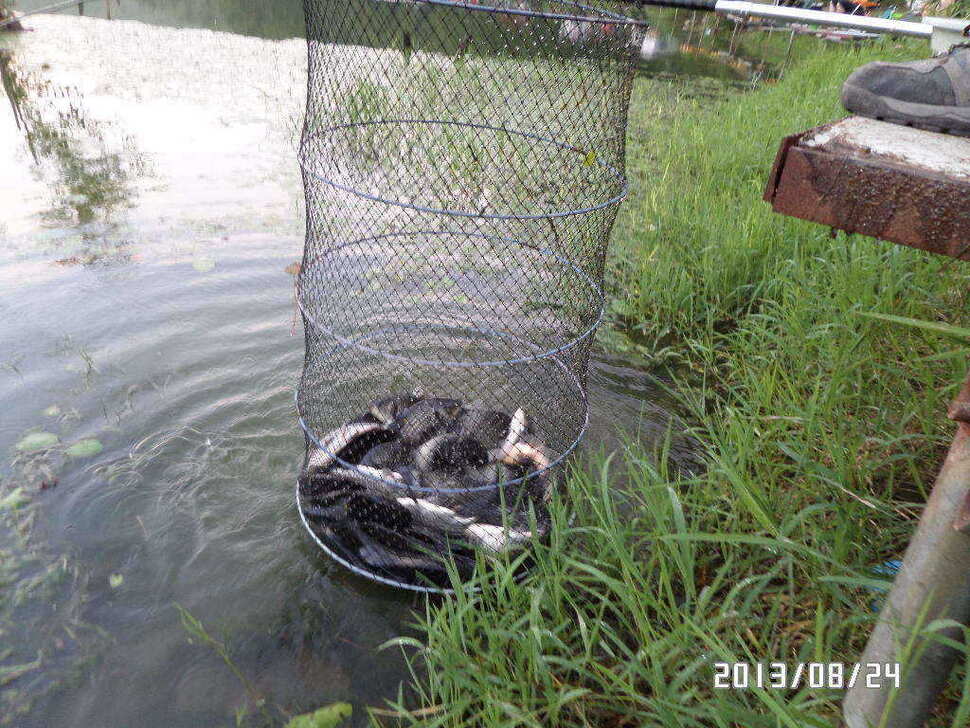 fish_pay_06270687.jpg