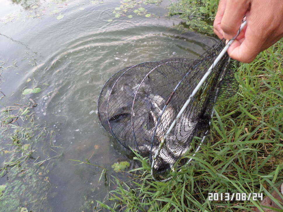 fish_pay_06271277.jpg