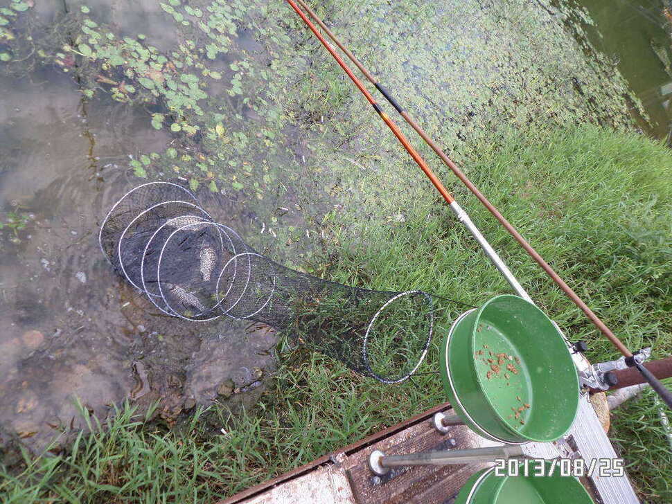 fish_pay_0627478.jpg