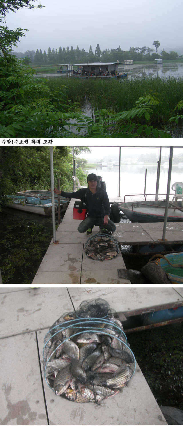 fish_pay_07573858.jpg
