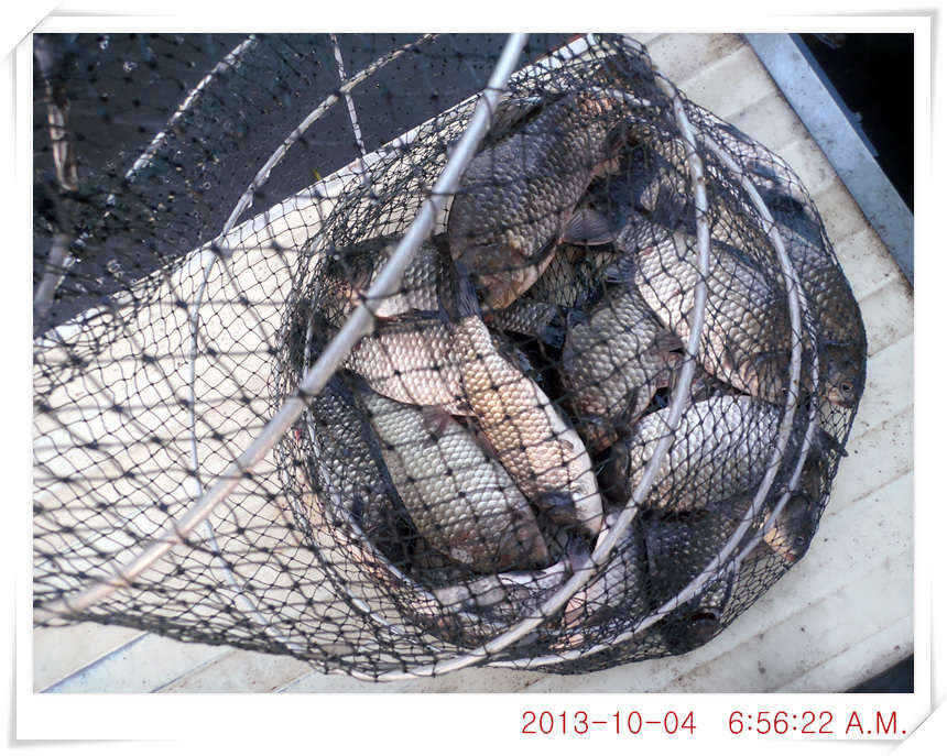 fish_pay_08084369.jpg