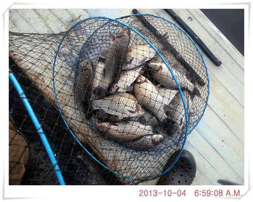 fish_pay_0808462.jpg