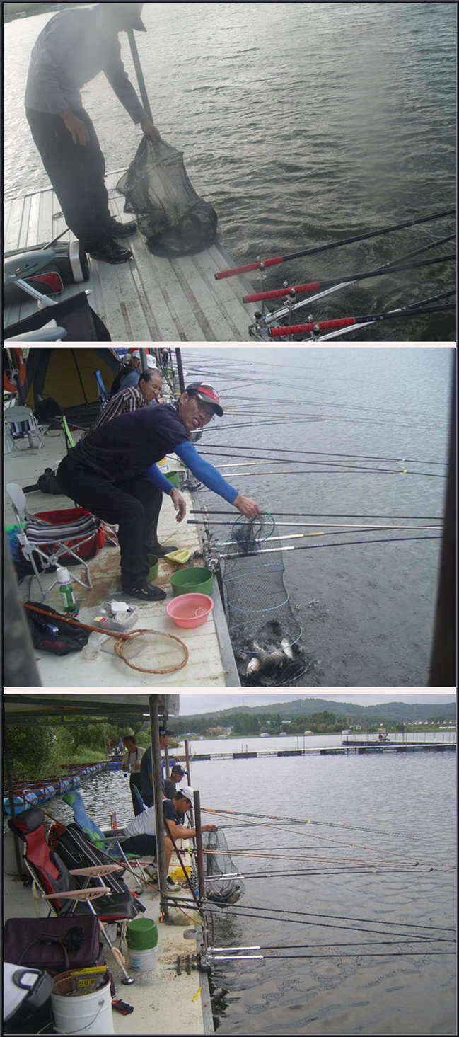 fish_pay_0814327.jpg