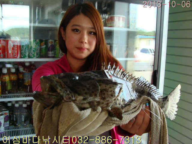 fish_pay_08201160.jpg