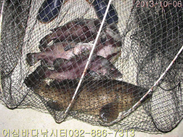 fish_pay_08201641.jpg