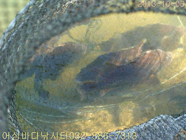 fish_pay_08201965.jpg