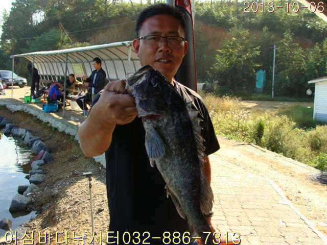 fish_pay_0820227.jpg
