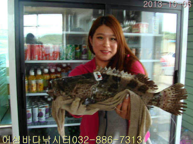 fish_pay_08205695.jpg