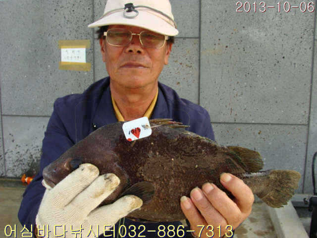 fish_pay_08212070.jpg