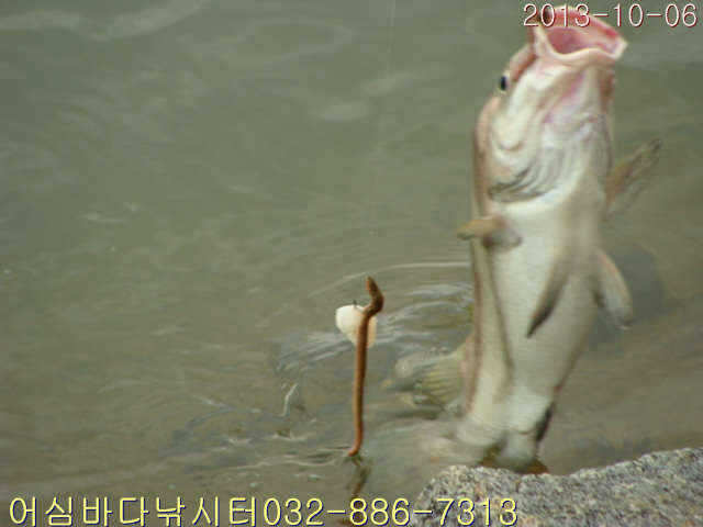 fish_pay_08212413.jpg