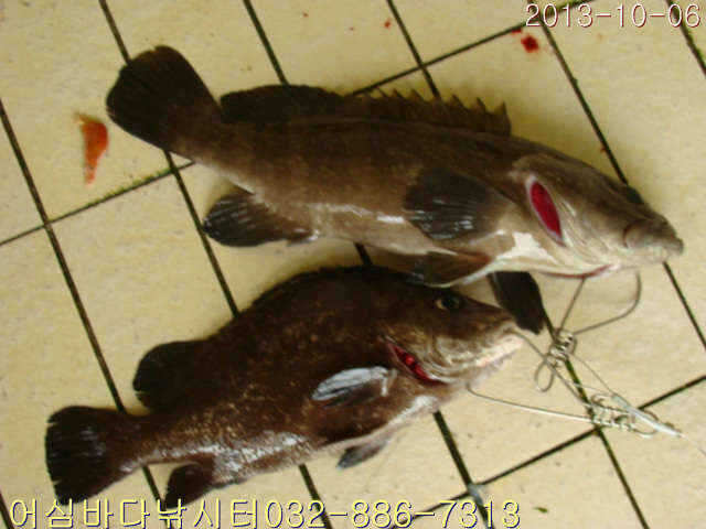 fish_pay_08213256.jpg