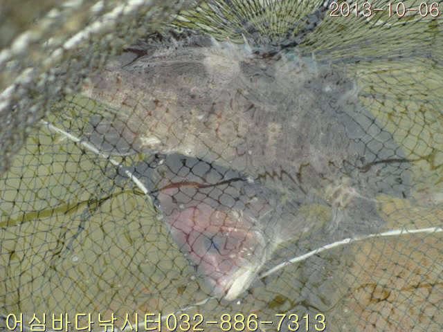 fish_pay_08214112.jpg
