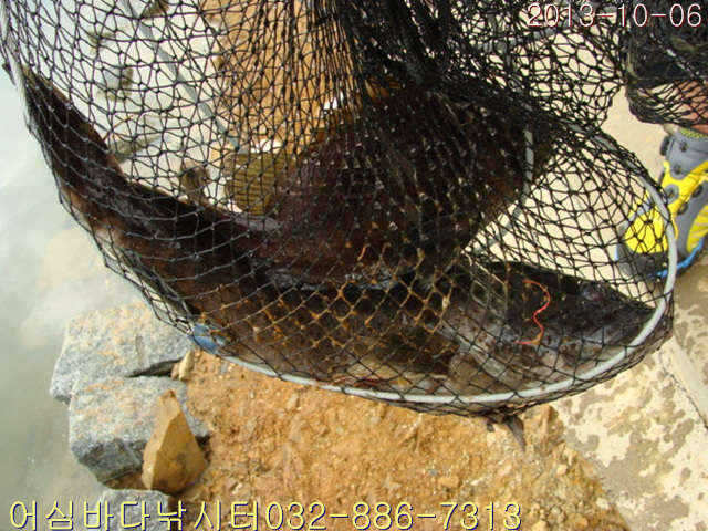 fish_pay_0821498.jpg