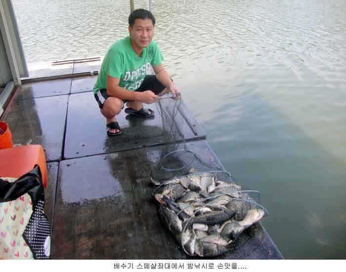 fish_pay_0850496.jpg