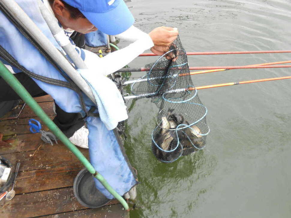 fish_pay_08561753.jpg