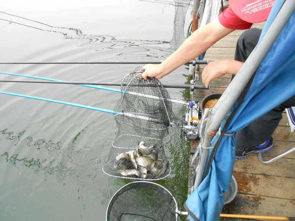 fish_pay_08561984.jpg