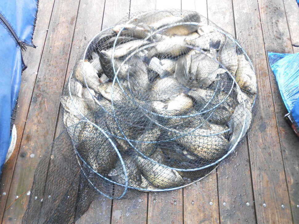 fish_pay_08562899.jpg