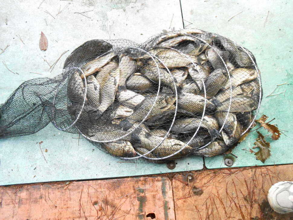 fish_pay_08563395.jpg