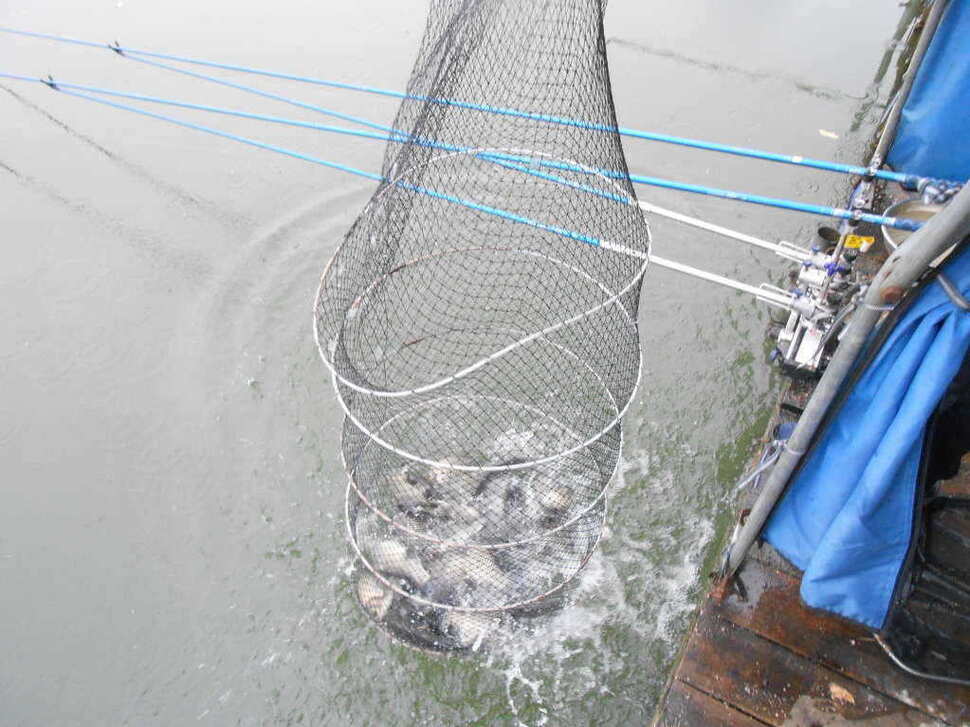 fish_pay_08563736.jpg