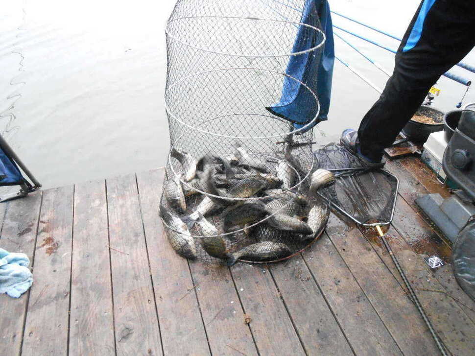 fish_pay_08563961.jpg