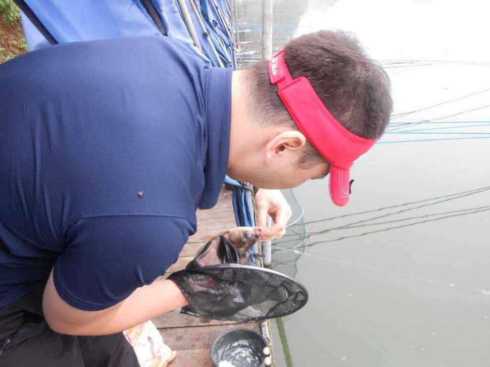 fish_pay_08564874.jpg