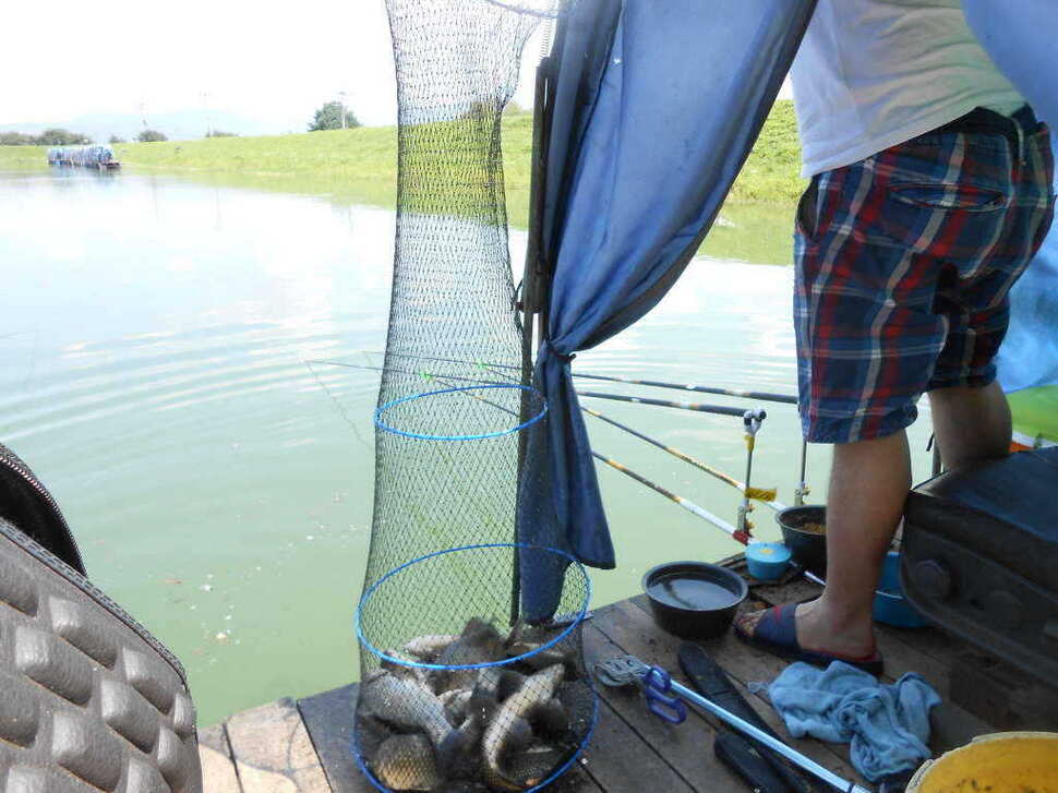 fish_pay_08565676.jpg