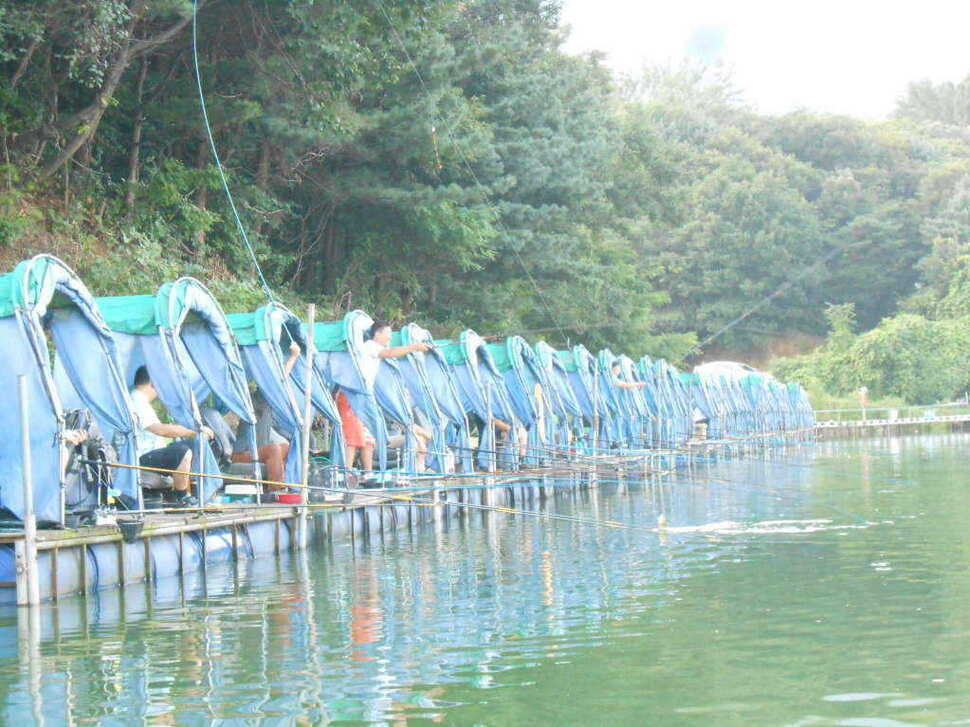 fish_pay_08565972.jpg
