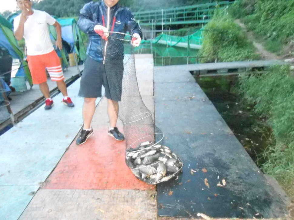 fish_pay_08570262.jpg