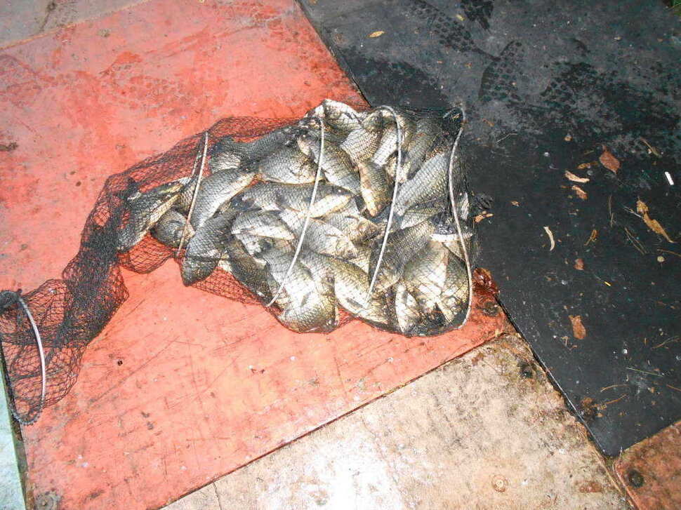 fish_pay_08570528.jpg