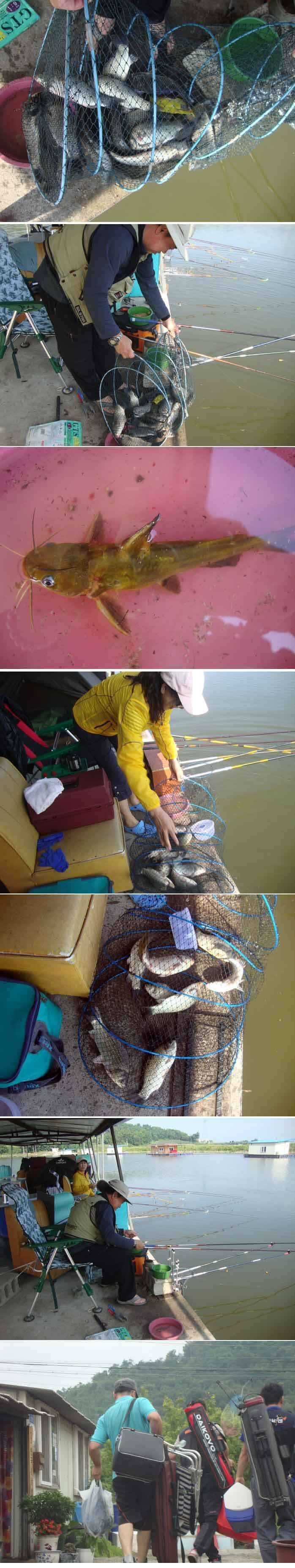 fish_pay_09173947.jpg