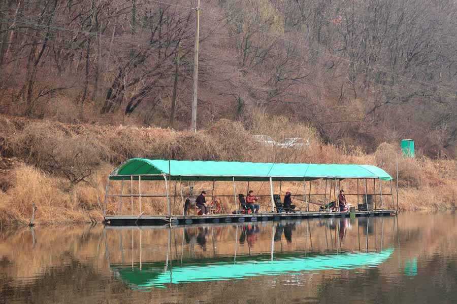 유료터정보 > 유료터조황 > 안성 두메낚시터 4월 1일 조황정보
