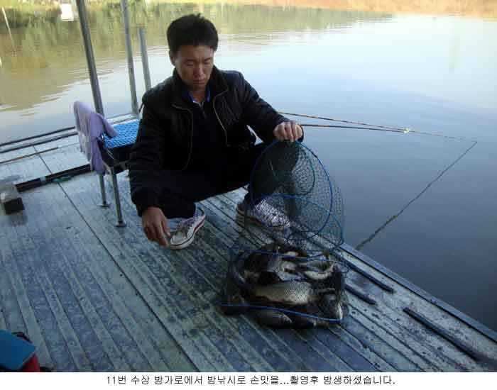 fish_pay_10154319.jpg