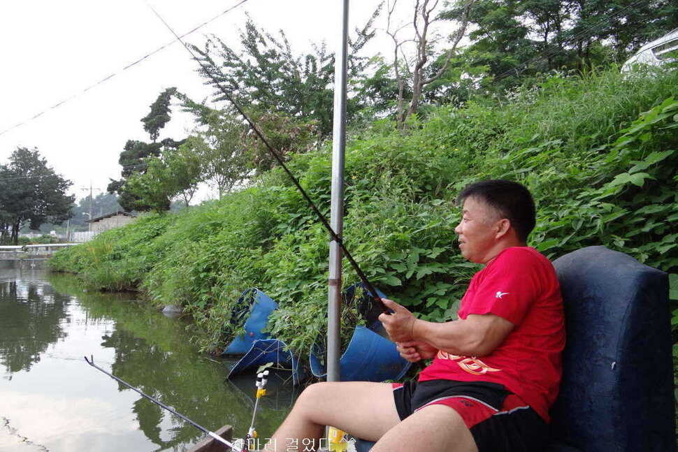 fish_pay_10474474.jpg